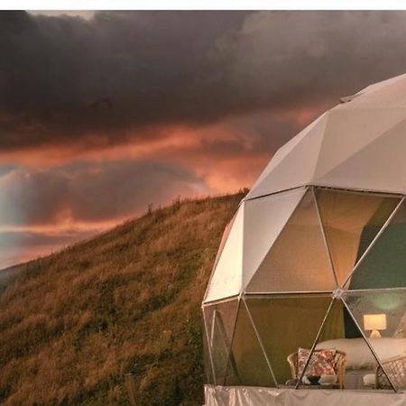 Caravans Park & Glamping Tents In The Vineyard Vila Turda Exterior foto