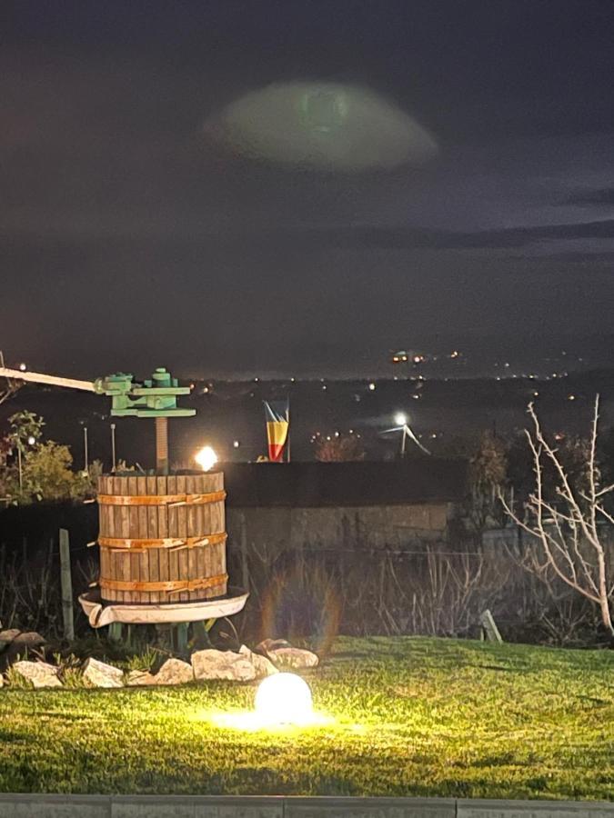 Caravans Park & Glamping Tents In The Vineyard Vila Turda Exterior foto