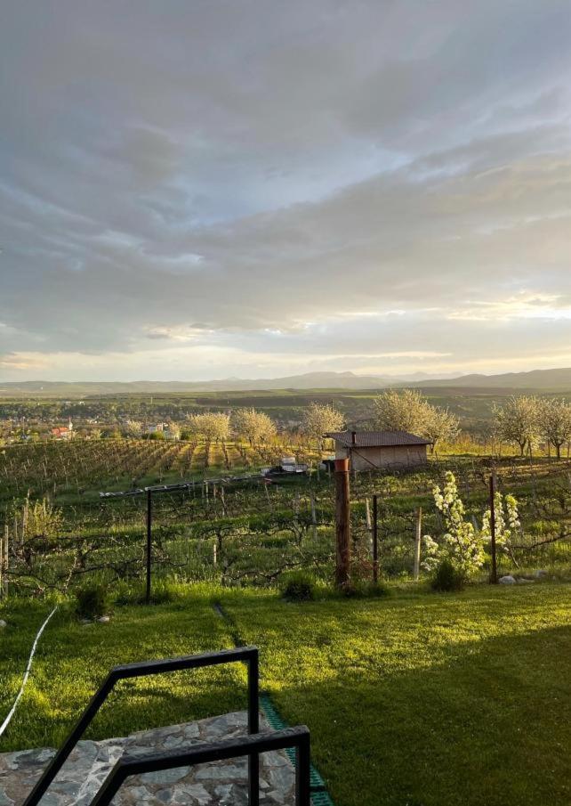Caravans Park & Glamping Tents In The Vineyard Vila Turda Exterior foto