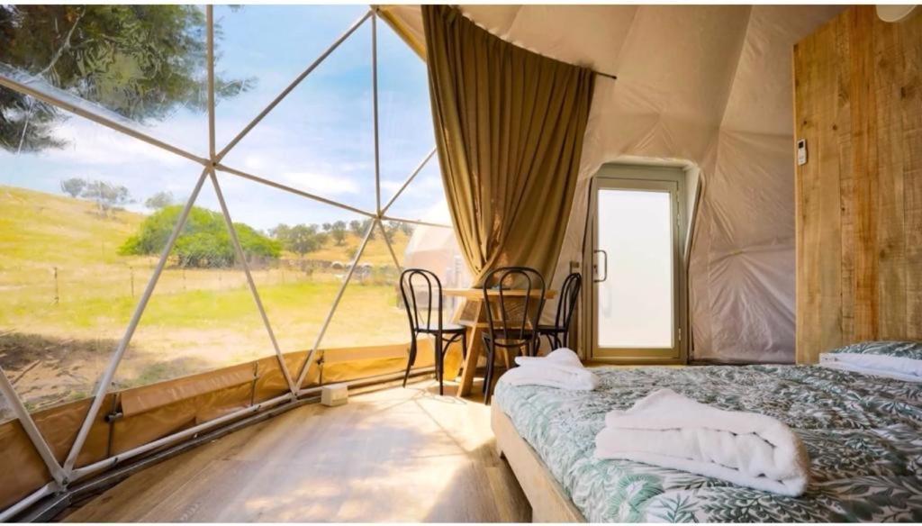 Caravans Park & Glamping Tents In The Vineyard Vila Turda Exterior foto